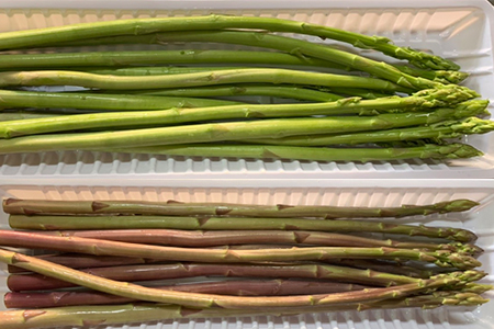 綠、紫蘆筍新鮮上市！